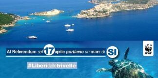 Il WWF chiede un mare di si per il referendum del 17 aprile