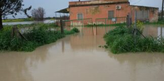 Straripa il Fiume Cervara: problemi sulla SP 75, evacuata famiglia
