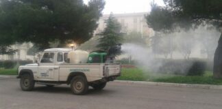 Foggia, Amiu fa partire la disinfestazione contro le zanzare