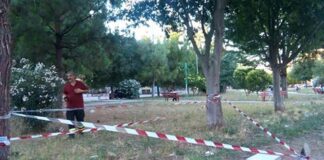 Vandali danno fuoco a cavi elettrici al CEP