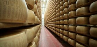 Furti vino e parmigiano, scoperta banda. 4 i cerignolani