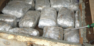 Sequestrate 4 tonnellate di marijuana