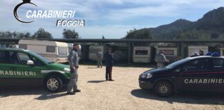 Sequestrato parcheggio abusivo nel Parco Nazionale del Gargano