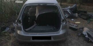 Avvistato dall’elicottero mentre smontava auto rubate: arrestato 31enne