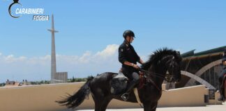 Controllo del territorio garganico, si uniscono anche i Carabinieri del Reggimento a cavallo