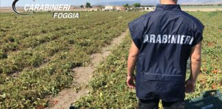 Lavoratori sfruttati nel foggiano: arrestati 3 imprenditori e un caporale