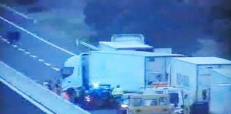 Assalto a tir carico di mandorle: in 4 sequestrano camionista e fuggono col bottino