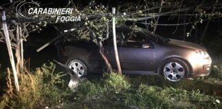 Ladri d’auto inseguiti sulla statale 16 finiscono in un vigneto