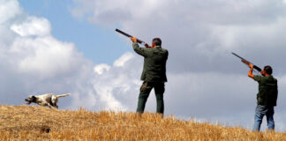 Colpo di fucile al petto: ucciso per errore il compagno di caccia