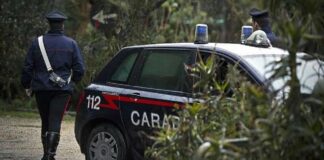Tragico incidente sul lavoro: 49enne muore tagliandosi la gamba con una motosega