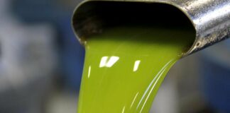 Olio di soia spacciato per extravergine: 24 arresti nel foggiano