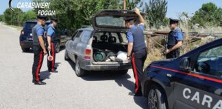 Operazione anticaporalato a Lucera: sequestrato veicolo fatiscente e pericoloso