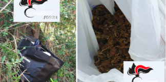 Traffico di droga sul Gargano: sequestrato mezzo chilo di stupefacenti