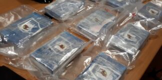 Da Foggia a Bolzano con oltre 12 kg di cocaina: tre persone arrestate
