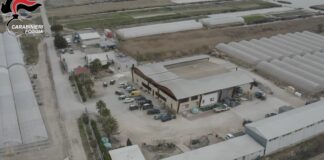 Blitz anticaporalato nel foggiano: arrestati 3 imprenditori, sigilli a due importanti aziende