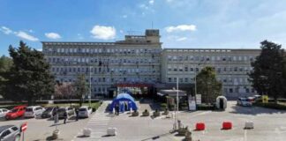 Uomo di 40 anni colpito dalla «Febbre del Nilo» a Foggia, ricoverato al “Riuniti”