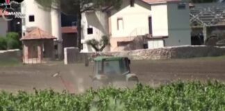 Caporalato: arrestato imprenditore 78enne che fatturava 6 mln all’anno