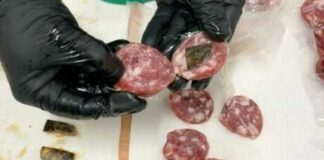 Droga nascosta tra le salsicce nel carcere di San Severo: sequestrati 122 grammi di hashish