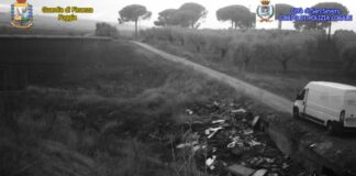 Traffico illegale di ricambi d’auto rubate: arrestato 30enne di San Severo percettore del RdC