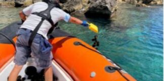 Raccoglie ricci nell’area protetta delle Isole Tremiti: multato