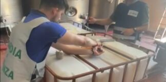 Maxi frode nel foggiano: sequestrati un milione di litri di vino con etichette “tarocche”