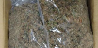 Trovato in possesso di sostanze stupefacenti e materiale per furti di auto, in arresto 24enne foggiano