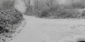 Maltempo: prima nevicata sui monti del foggiano