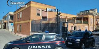 Lite in strada e due fratelli gemelli picchiati a sangue: 2 arresti
