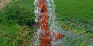 Saccheggiati gli impianti di irrigazione del Consorzio bonifica Capitanata