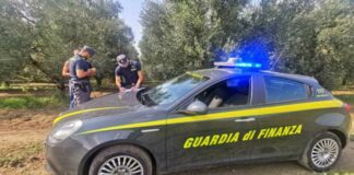 Quasi 400 falsi braccianti, denunce a Cerignola