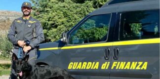 Sequestrati più di 150 chili di droga a Foggia grazie al fiuto delle unità cinofile