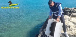 Ricci e vongole pescati illegalmente e privi di tracciabilità: denunce e sequestri