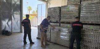 Passata di pomodoro senza alcuna etichetta, sequestrati 176mila barattoli a Cerignola