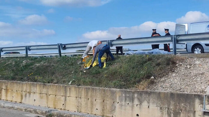 Lucera-incidente-ciclista-investito--29-10-24