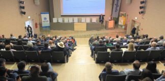 Grano e pasta, tempi duri: l’intera filiera si raduna a Foggia per il “Durum Days”