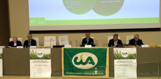 Agricoltori foggiani travolti da politiche comunitarie e da una crisi senza via d’uscita