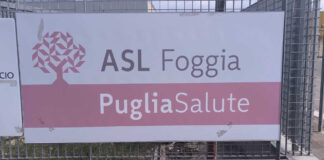 Febbre del Nilo, primo caso a Manfredonia: contagiato un cavallo