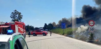 Gargano a fuoco e Manfredonia devastata: vertice in Prefettura