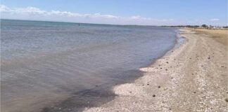 Ordinanza revocata, balneazione nuovamente possibile a Manfredonia e Siponto