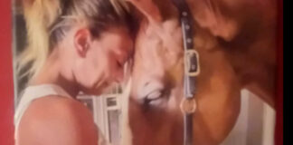 La storia di “Lallo”, il cavallo campione di salto ad ostacoli morto a causa del West Nile