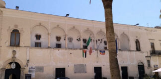 “Festeggiano” le zanzare: salta la disinfestazione, l’azienda incaricata addebita ad Ase errori di comunicazione