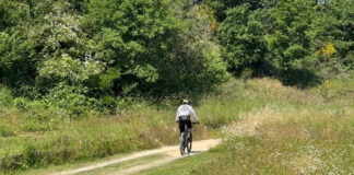 Parco del Gargano, che caos! Il Ministero nomina Di Mauro, Emiliano sceglie D’Errico