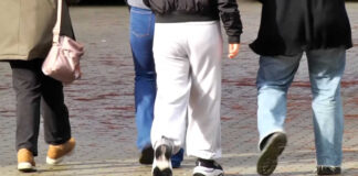 Concluse le indagini su un esercito di presunti falsi braccianti: 325 gli indagati