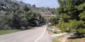 Xylella in provincia di Foggia, chiesti interventi immediati e un commissario straordinario