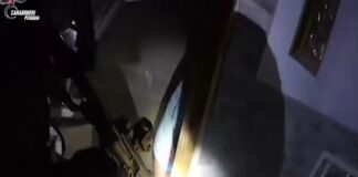 Foggia, catturato il latitante Gesualdo: le immagini dell’irruzione dei Carabinieri