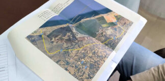 Viaggio sulla provinciale che collega Zapponeta a Trinitapoli pregando che non ci scappi il morto