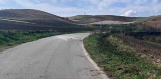 Ascoli Satriano, pensionato investito e ucciso da un trattore sulla sp90