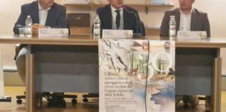 Xylella, proposte per il contrasto alla diffusione del batterio nell’area del Gargano