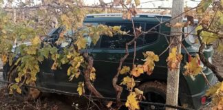 Foggia, ritrovate auto nuove: erano state rubate e nascoste sotto il ponte autostradale