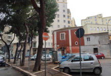 Foggia, alberi abbattuti in piazza Pavoncelli